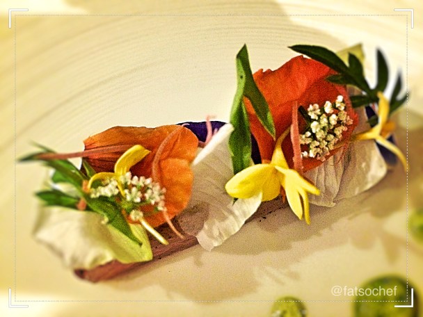 photo-5-9-16-10-58-36-pm