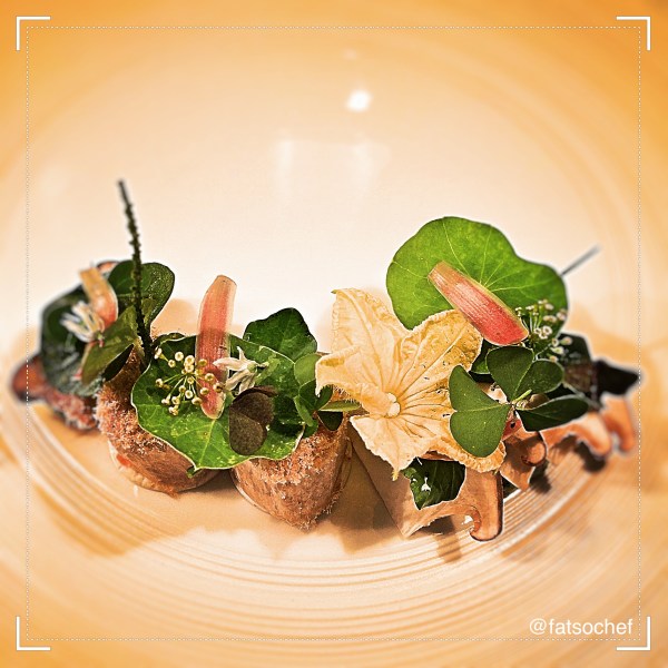 photo-5-9-16-11-04-48-pm